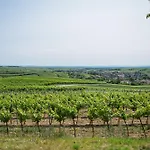 Rebenhof Schwalm * Herrnbaumgarten