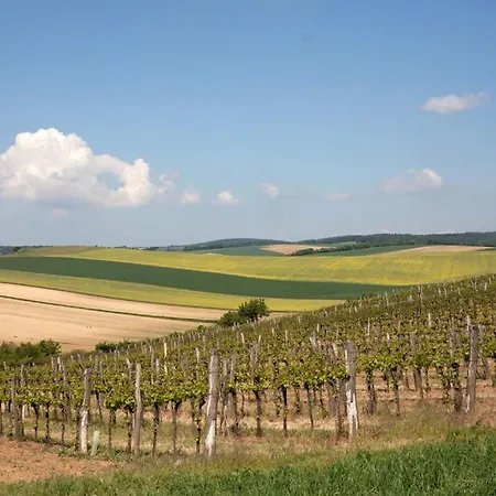 Rebenhof Schwalm Lejlighed