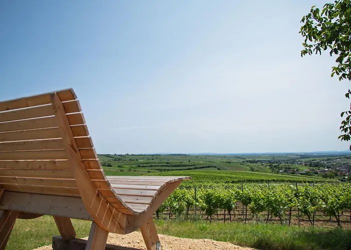 Rebenhof Schwalm Apartamento Herrnbaumgarten