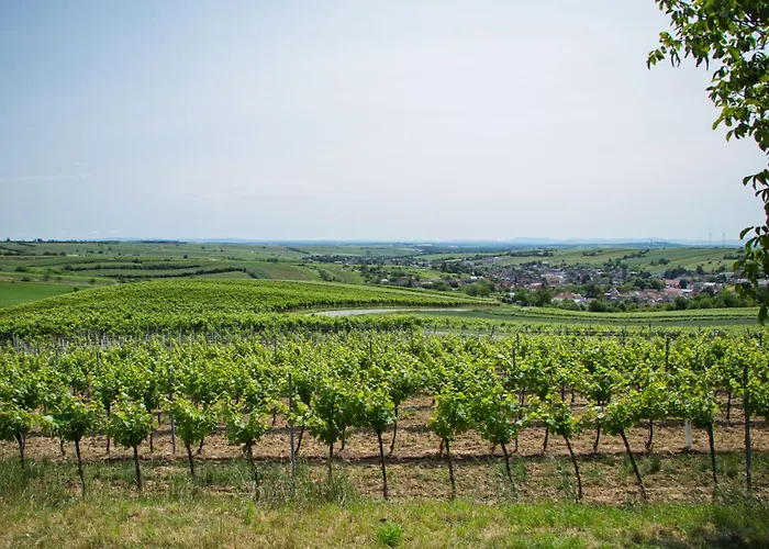 Rebenhof Schwalm * Herrnbaumgarten